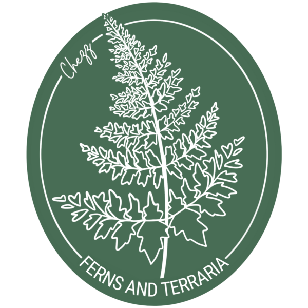 Chezz Ferns and Terraria
